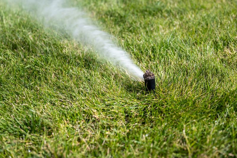 Lawn sprinkler system